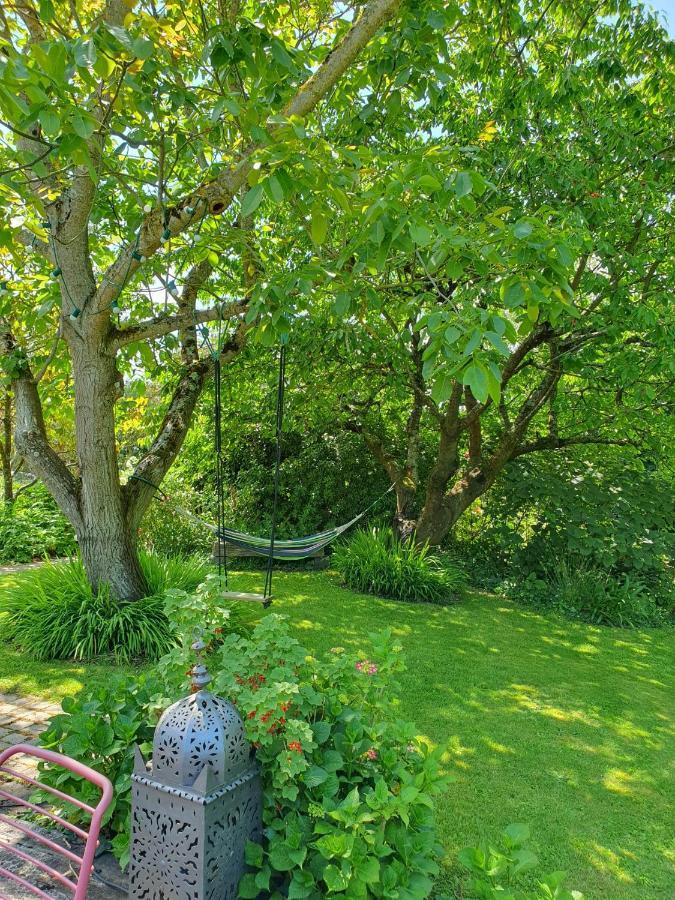 Maison En Pierre Dans Son Nid De Verdure Roz-Landrieux Buitenkant foto