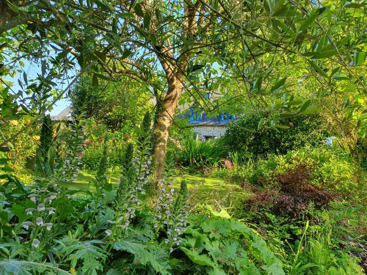 Maison En Pierre Dans Son Nid De Verdure Roz-Landrieux Buitenkant foto