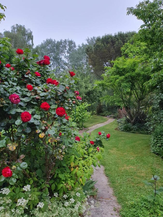 Maison En Pierre Dans Son Nid De Verdure Roz-Landrieux Buitenkant foto