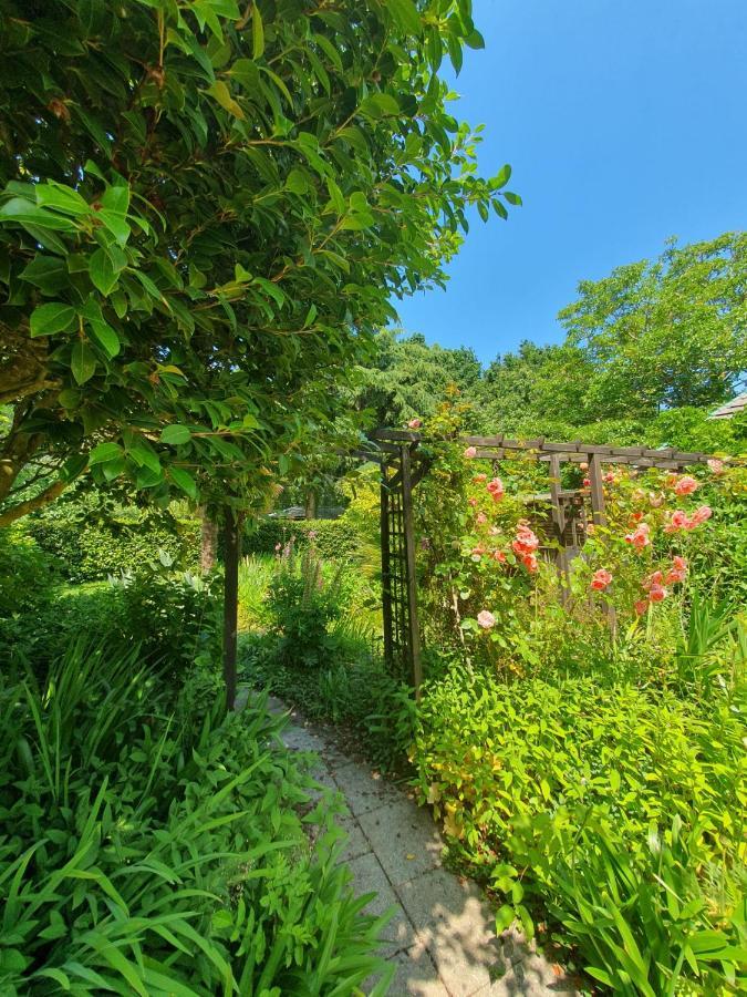 Maison En Pierre Dans Son Nid De Verdure Roz-Landrieux Buitenkant foto