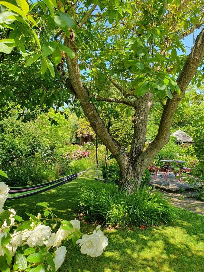 Maison En Pierre Dans Son Nid De Verdure Roz-Landrieux Buitenkant foto